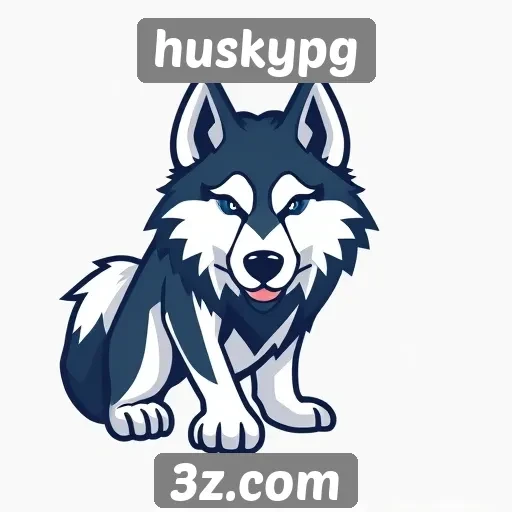 Plataforma huskypg se destaca pela acessibilidade online