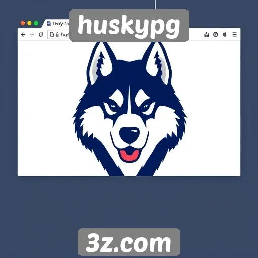 Avaliação da interface do usuário do huskypg